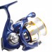 Daiwa Team Daiwa TDR Reel